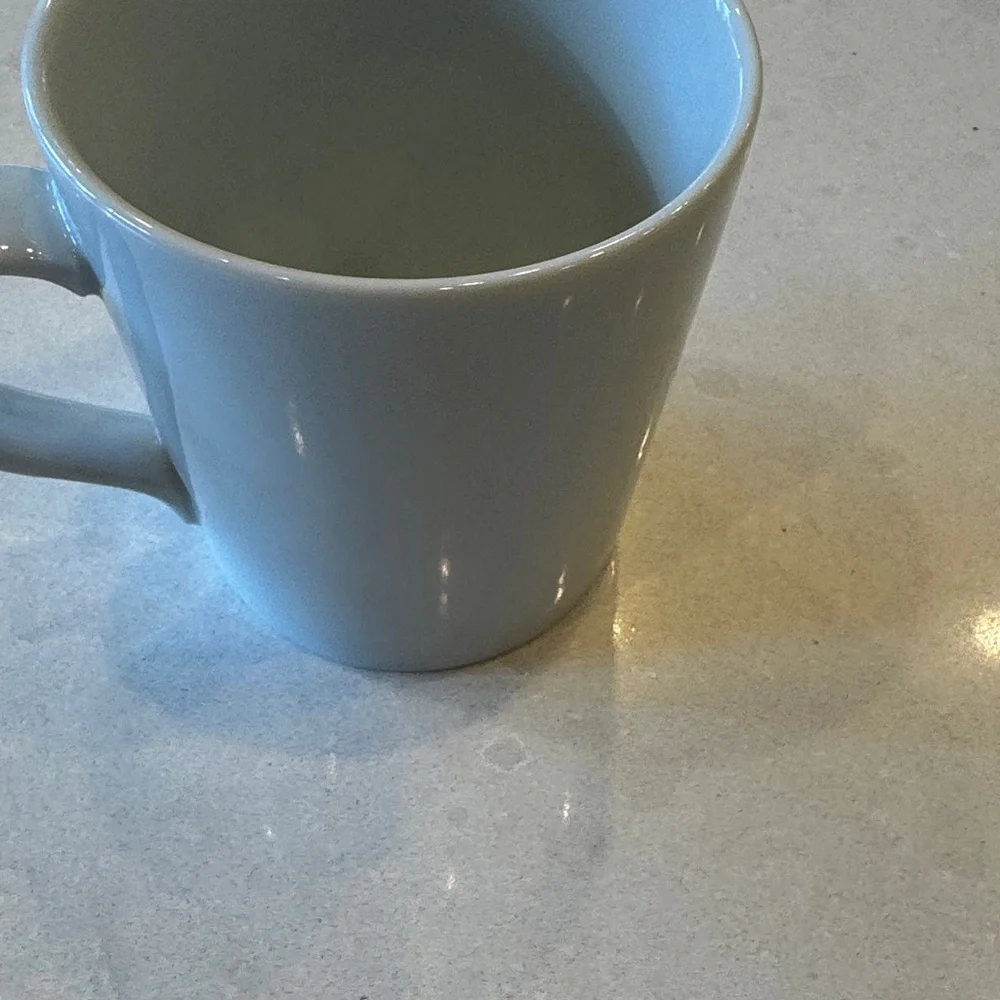 Crate&Barrel Elvis swift bird, White Mug with Teal and Pink Bird Design